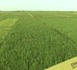 Emission Diwaan yi ak gox goxaan yi du 03/12/2011 sur la TFM
