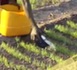 Emission Diwaan yi ak gox goxaan yi du 24/03/2012 sur la TFM