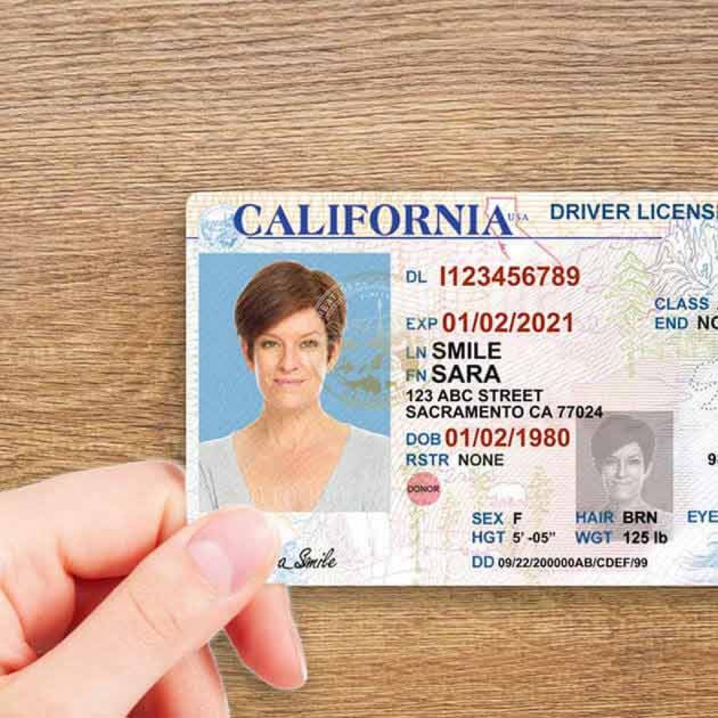 Id/Passport/License/Diploma/Visa/Certificates/IELTS/TOEFL/Vehivle Registration