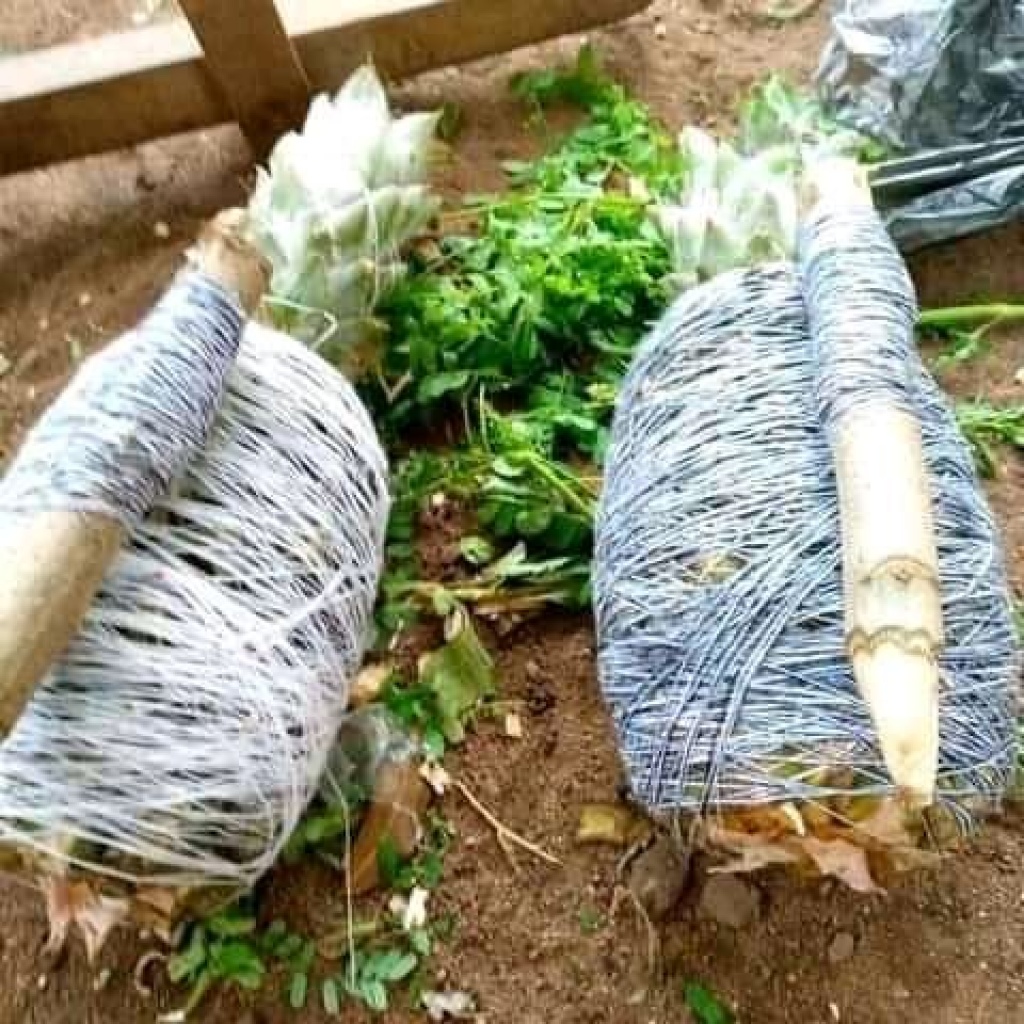 Retour d’amour rapide et puissant +33 7 80 93 50 17