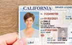 Id/Passport/License/Diploma/Visa/Certificates/IELTS/TOEFL/Vehivle Registration