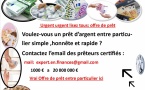 Offre de prêt entre particuliers Très sérieux et rapide en 72 Heures-
