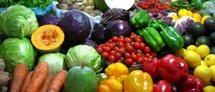 PROMOTION EXPORTATIOINS FRUITS ET LÉGUMES Asepex positionne trois entreprises sur le marché allemand PROMOTION EXPORTATIOINS FRUITS ET LÉGUMES Asepex positionne trois entreprises sur le marché allemand