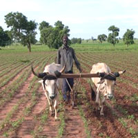 Recours au GPS pour un meilleur rendement agricole au Sénégal