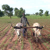 Recours au GPS pour un meilleur rendement agricole au Sénégal Recours au GPS pour un meilleur rendement agricole au Sénégal