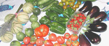 POUR LA REDYNAMISATION ET LA MODERNISATION DE LA COMMERCIALISATION DES PRODUITS AGRICOLES Un cadre national permanent sur les fonds baptismaux POUR LA REDYNAMISATION ET LA MODERNISATION DE LA COMMERCIALISATION DES PRODUITS AGRICOLES Un cadre national permanent sur les fonds baptismaux