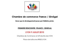 Chambre de commerce France / Sénégal, PREMIERE RENCONTRE  FRANCE / SENEGAL LYON 9 JUILLET 2010