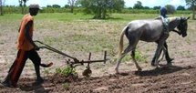 Hodar :Projet de location de matériel agricole Hodar :Projet de location de matériel agricole