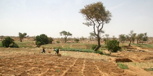 SEED Foundation Sow & Encourage Economic Development SEED Foundation Sow & Encourage Economic Development
