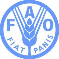 La FAO conclut ‘’avec succès’’ ses négociations sur la gestion du foncier La FAO conclut ‘’avec succès’’ ses négociations sur la gestion du foncier