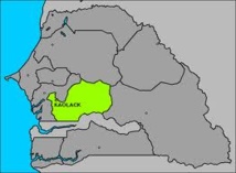 Kaolack: les élus locaux priés de soutenir davantage la culture Kaolack: les élus locaux priés de soutenir davantage la culture