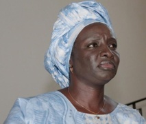 ATTEINTES DES OBJECTIFS DU MILLENAIRE POUR LE DEVELOPPEMENT Les jeunes leaders africains s'engagent