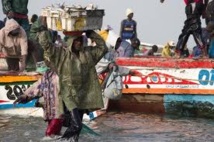 Joal-Fadiouth: des transformatrices s'opposent à l’implantation d’une usine de farine de poisson Joal-Fadiouth: des transformatrices s'opposent à l’implantation d’une usine de farine de poisson