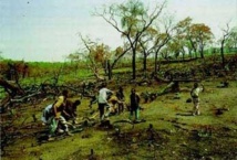 SEDHIOU: TECHNIQUES DE PRESERVATION DES RESSOURCES FORESTIERES Des communautés de divers horizons formées à Séfa SEDHIOU: TECHNIQUES DE PRESERVATION DES RESSOURCES FORESTIERES Des communautés de divers horizons formées à Séfa