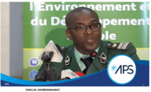 Sénégal - Vers un reboisement massif le long de l’autoroute Ila Touba (Directeur)