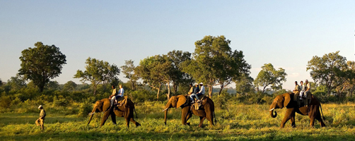 Le tourisme en Afrique, une mine d’or inexploitée Le tourisme en Afrique, une mine d’or inexploitée