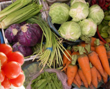 Matam : 100 millions de francs CFA pour le développement agricole Matam : 100 millions de francs CFA pour le développement agricole