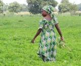 Dakar et la BAD évaluent leur programme de coopération, mercredi Dakar et la BAD évaluent leur programme de coopération, mercredi