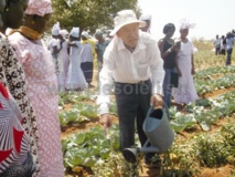 Fertilisation des sols: Une nouvelle expérience coréenne porte ses fruits à Koussanar Fertilisation des sols: Une nouvelle expérience coréenne porte ses fruits à Koussanar