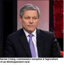 agriculture agriculture