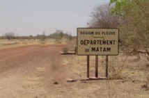 Matam: lancement d'un programment de plantation d'arbres fruitiers Matam: lancement d'un programment de plantation d'arbres fruitiers