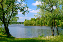 Les énergies renouvelables, une solution pour améliorer la sécurité énergétique (ministre) Les énergies renouvelables, une solution pour améliorer la sécurité énergétique (ministre)