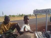 Un téléthon pour héberger les étudiants de Tambacounda