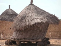 MBOUR Les greniers se vident MBOUR Les greniers se vident