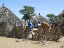 DIOURBEL /SITUATION ALIMENTAIRE PRECAIRE, RETARD DANS LA MISE DES INTRANTS AGRICOLES Le monde rural réclame une assistance en vivres de soudures DIOURBEL /SITUATION ALIMENTAIRE PRECAIRE, RETARD DANS LA MISE DES INTRANTS AGRICOLES Le monde rural réclame une assistance en vivres de soudures