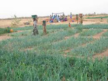 Sécurité alimentaire: le PASA outille ses agents Sécurité alimentaire: le PASA outille ses agents