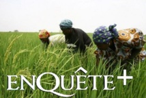 L'AFAO offre du matériel électroménager aux femmes de Matam L'AFAO offre du matériel électroménager aux femmes de Matam