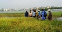 Podor: quatre localités vont bénéficier d’un projet agro-forestier (communiqué)