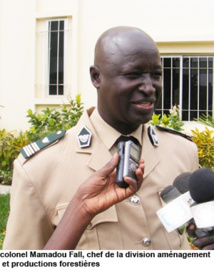 Charbon: une nouvelle mesure en vigueur pour ravitailler les villes Charbon: une nouvelle mesure en vigueur pour ravitailler les villes