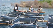 Une mission du PRODAC ( Programme des domaines agricoles communautaires)  à Kédougou
