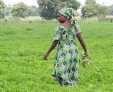 Plaidoyer pour une redéfinition des calendriers agricoles