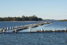 RARIFICATION DE LA RESOURCE HALIEUTIQUE LA PECHE CONTINENTALE ET L'AQUACULTURE DES ALTERNATIVES PEU RASSURANTES