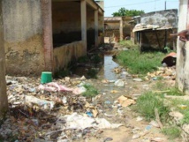 ASSAINISSEMENT DES EAUX USEES UN ENJEU CLE POUR LE DEVELOPPEMENT DURABLE