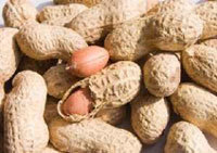 De nouveaux centres de démonstration de techniques agricoles bientôt mis en place De nouveaux centres de démonstration de techniques agricoles bientôt mis en place