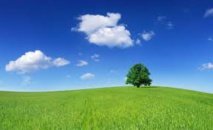 Environnement : le Sud doit faire entendre sa voix au sommet de New York (expert) Environnement : le Sud doit faire entendre sa voix au sommet de New York (expert)