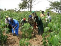 Tambacounda : trois mini-barrages réalisés pour plus de 300 millions