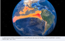 Climat : le monde doit se préparer à des températures records provoquées par El Niño, avertit l'ONU Climat : le monde doit se préparer à des températures records provoquées par El Niño, avertit l'ONU