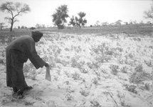 BILAN DES DEUX ANS DU PLAN REVA, L’agence nationale sort ses réalisations BILAN DES DEUX ANS DU PLAN REVA, L’agence nationale sort ses réalisations