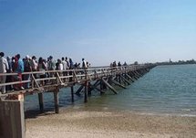 JOAL-FADIOUTH :RESSOURCES HALIEUTIQUES.L’aire marine protegée