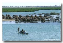 saloum senegal