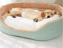 🐾 10 Accessoires indispensables pour le bien-être de votre animal de compagnie