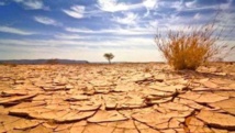 LUTTE CONTRE LES CHANGEMENTS CLIMATIQUES PLAIDOYER POUR UN ENGAGEMENT POLITIQUE DE HAUT NIVEAU