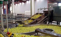 SOKONE - RENFORCEMENT DE L’INDUSTRIE LOCALE ET LUTTE CONTRE LE SOUS-EMPLOI UN NOUVEAU COMPLEXE AGRO-ALIMENTAIRE LANCE SOKONE - RENFORCEMENT DE L’INDUSTRIE LOCALE ET LUTTE CONTRE LE SOUS-EMPLOI UN NOUVEAU COMPLEXE AGRO-ALIMENTAIRE LANCE