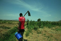 SECTEUR AGRICOLE UN PROJET DE RESILIENCE AUX CHANGEMENTS CLIMATIQUE LANCE SECTEUR AGRICOLE UN PROJET DE RESILIENCE AUX CHANGEMENTS CLIMATIQUE LANCE