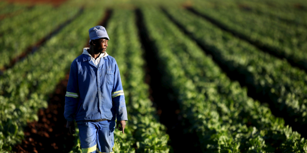 agriculture togo