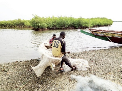 Sénégal - Aire marine protégée du Bamboung : La conservation fait revivre pêcheurs et mareyeurs